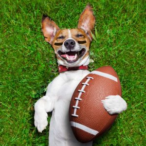 Athletic Summer Camps Athletic Summer Camps