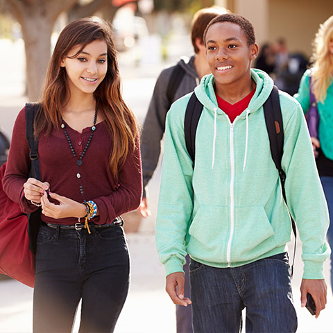 A Network of Online Learning