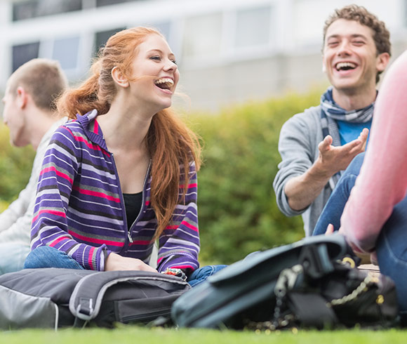 A Network of Online Learning